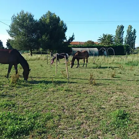 Les Prairies Mas Roux