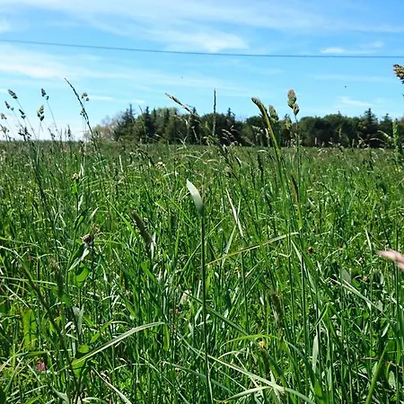 Les Prairies Mas Roux Raphèle